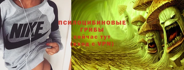 spice Верхний Тагил