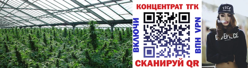 мориарти официальный сайт  сколько стоит  Норильск  ТГК концентрат 