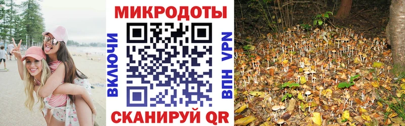 как найти   Норильск  Галлюциногенные грибы ЛСД 
